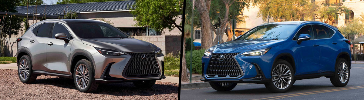 2025 Lexus NX Hybrid vs 2024 Lexus NX Hybrid