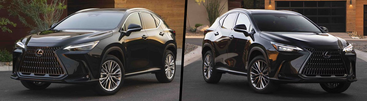 2025 Lexus NX vs 2024 Lexus NX